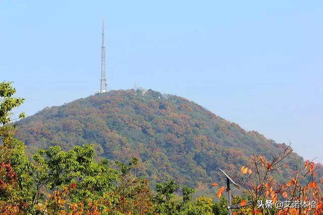 合肥景区免费景点,合肥旅游景点大全免费玩