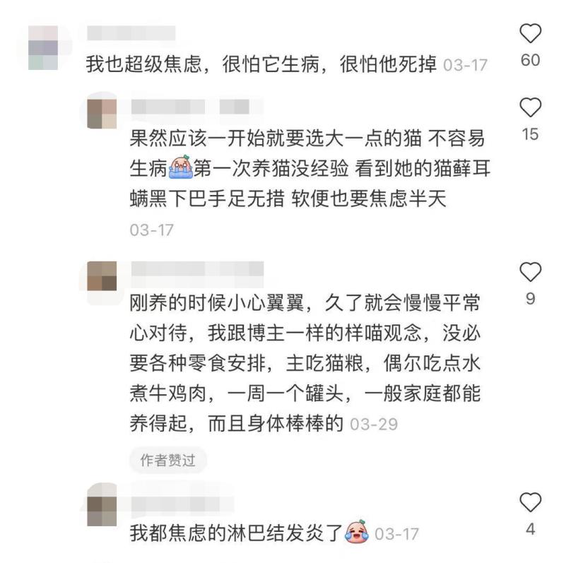 自从接了一只猫回家,突然养猫了很焦虑