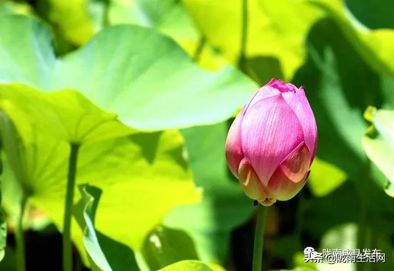 我叫成县,这是我2019年的自拍照