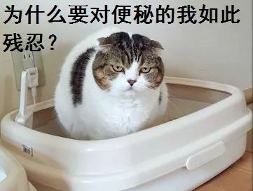 “吃翔”?帕金森病王者段位疗法了解一下