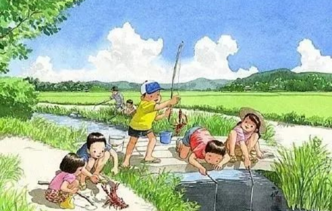 童年记忆里的小虫子,儿时的记忆夏天的风