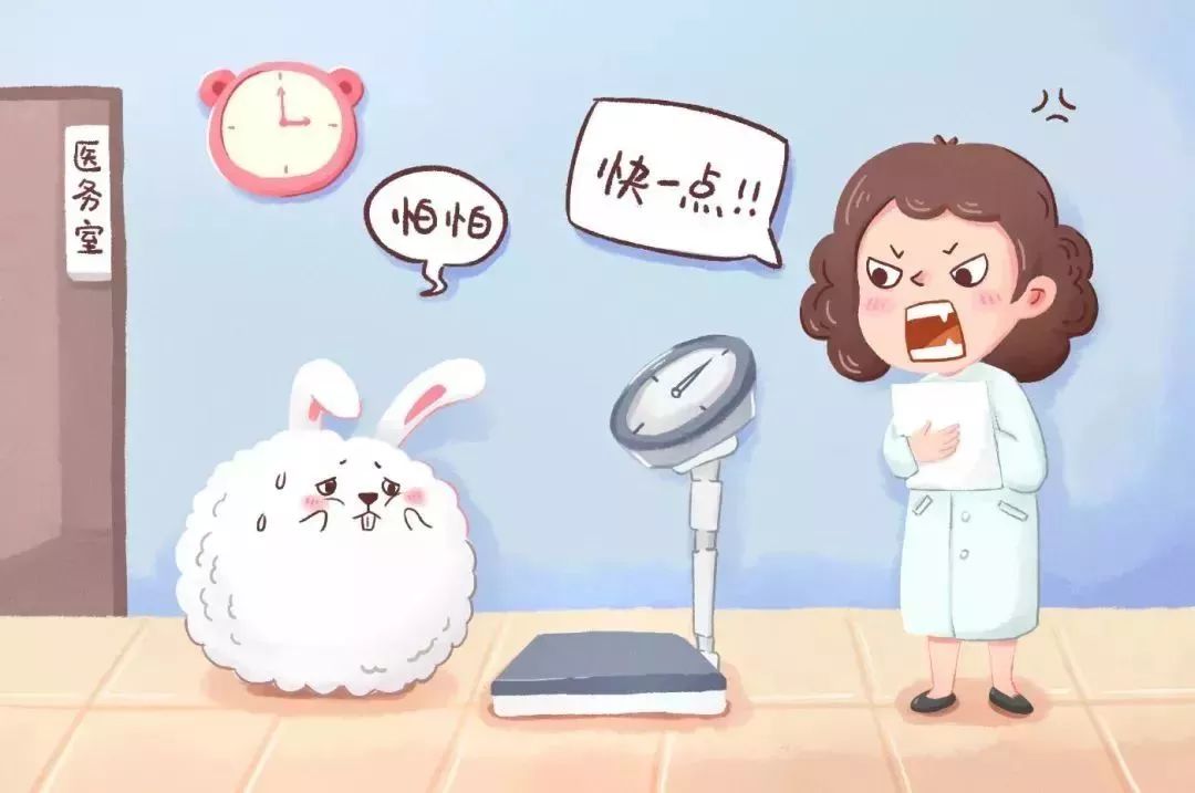 看图写话万能模板,一年级看图写话田字格模板