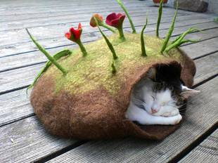 猫最好用什么猫窝,各种猫窝的视频大全