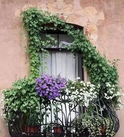 阳台变身小花园总有一款适合你,阳台可以打造成小花园吗