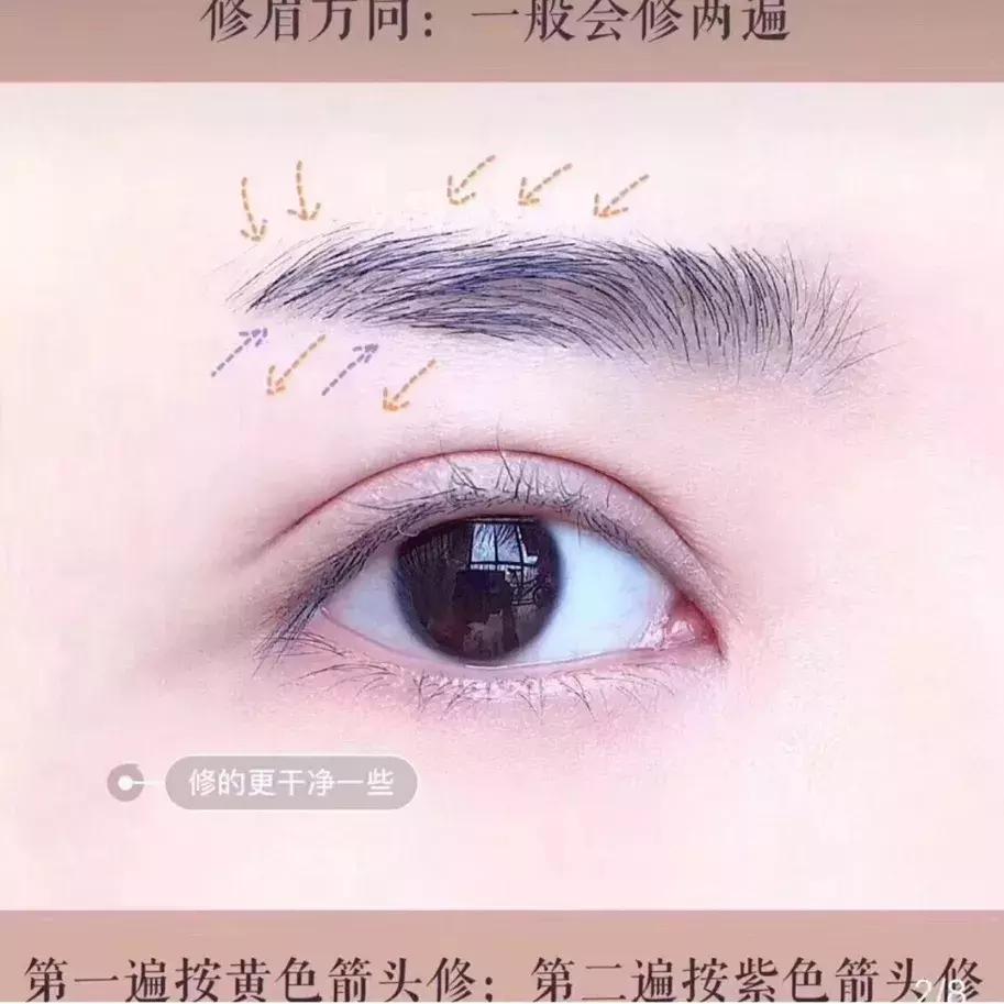 画眉无基础教学,画眉不掉色技巧