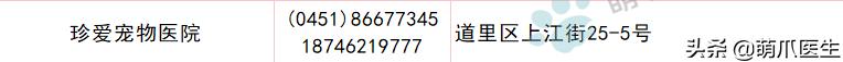 求良心靠谱的宠物医院,真正平民的宠物医院