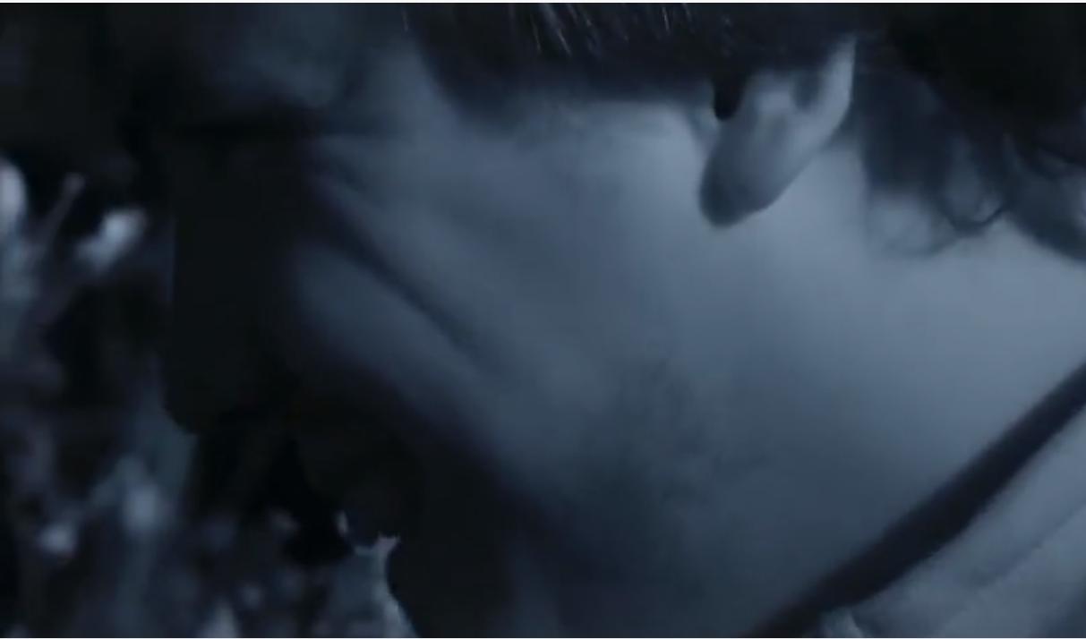 蜜獾为何如此凶猛,蜜獾那么凶猛真实的战斗力咋样