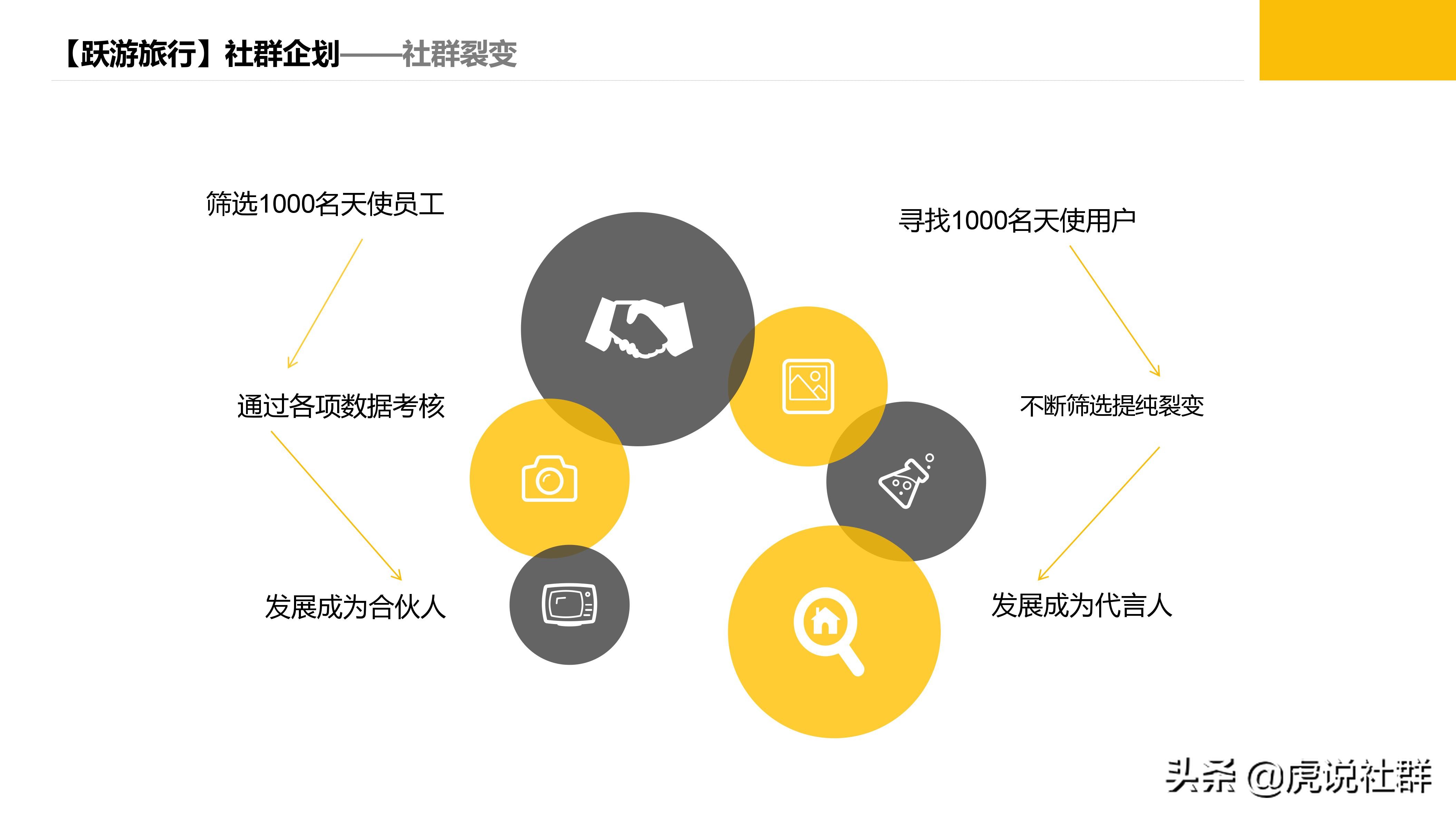 旅游项目策划方案价格,旅游项目策划团队