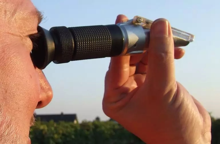 品乐Pinor：在法国葡萄园上班，就像在东北掰玉米……