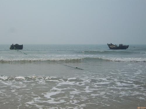 日照绿茶价格表,日照有什么好玩的地方