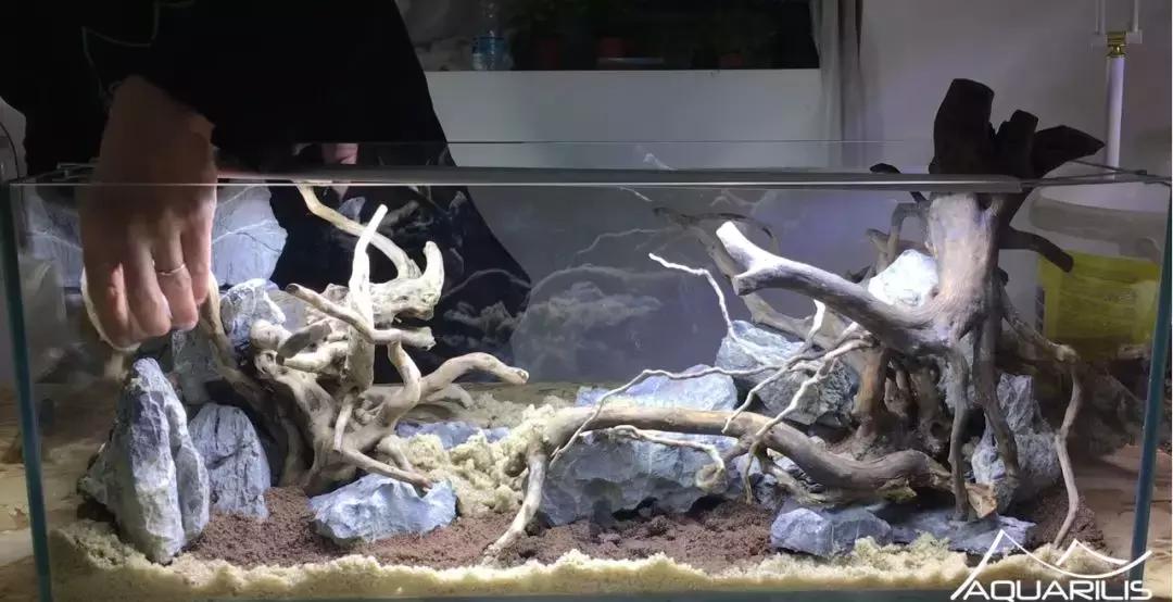 草缸造景教程：这个缸居然能装下一头“犀牛”？