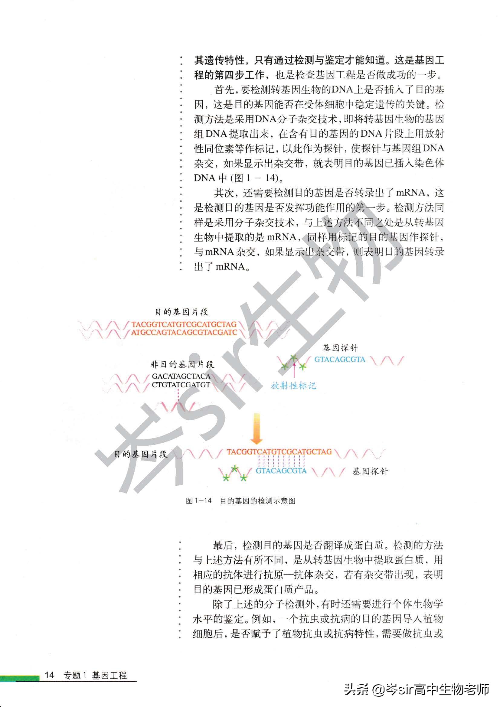 高中生物教材速读选修3.1.2基因工程的基本操作程序