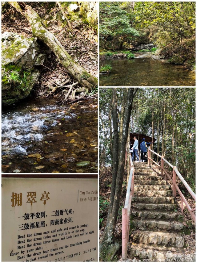 方虹松江,方虹安徽