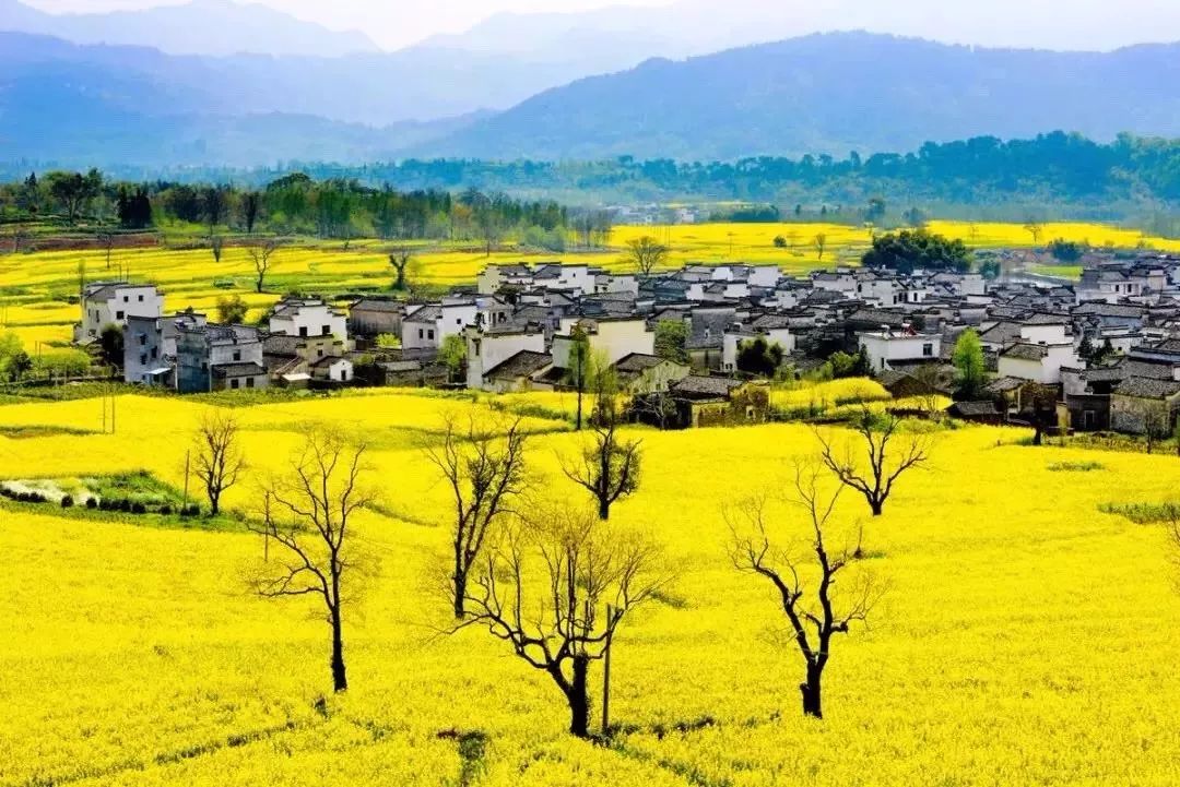 黄山宏村民宿小院,黄山旅游宏村民宿推荐