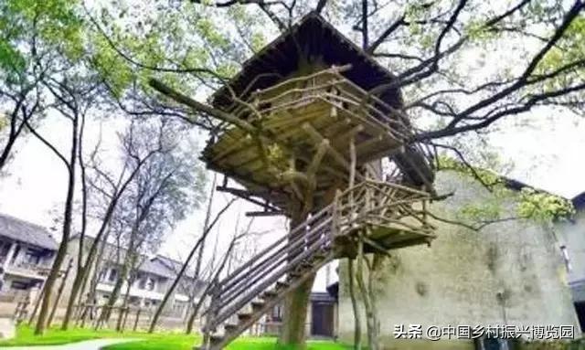 乡村振兴案例2021,乡村振兴案例2022