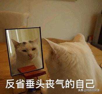 二环地铁上盖新盘,二环边现房地铁口西安