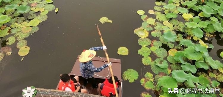 莲池湖公园赏荷花攻略,荷塘月色湿地公园最佳赏荷时间