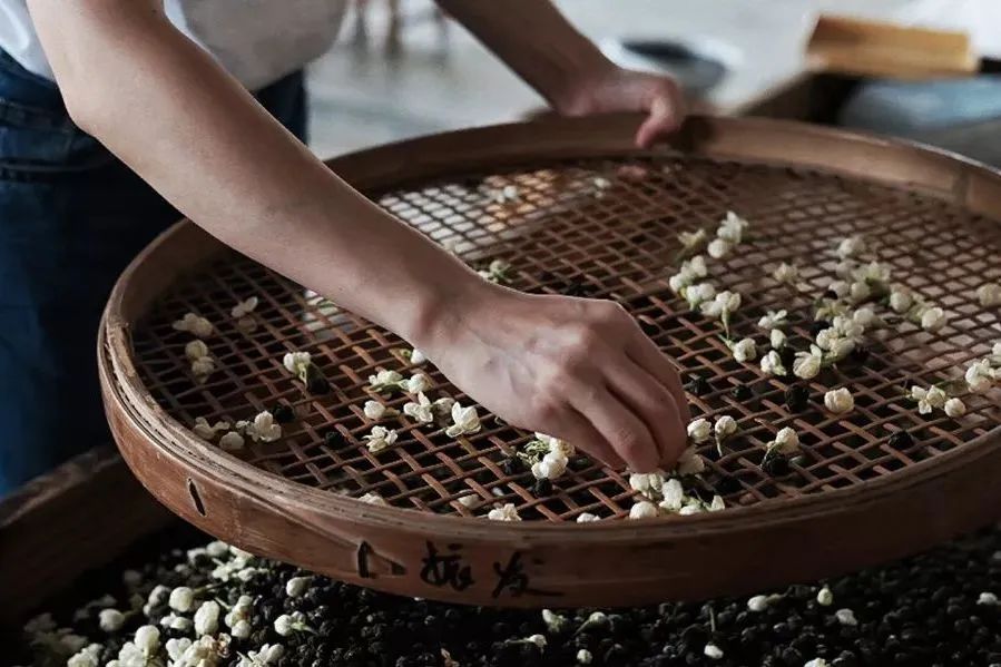 好一朵南方的茉莉花,攻城略地占据北方民间饮茶高地