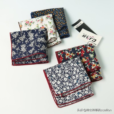 复古西装口袋巾,英式西装的口袋巾