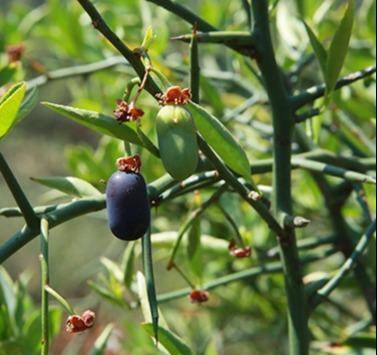 不畏秋老虎，通过保湿就能复活你的小脸蛋