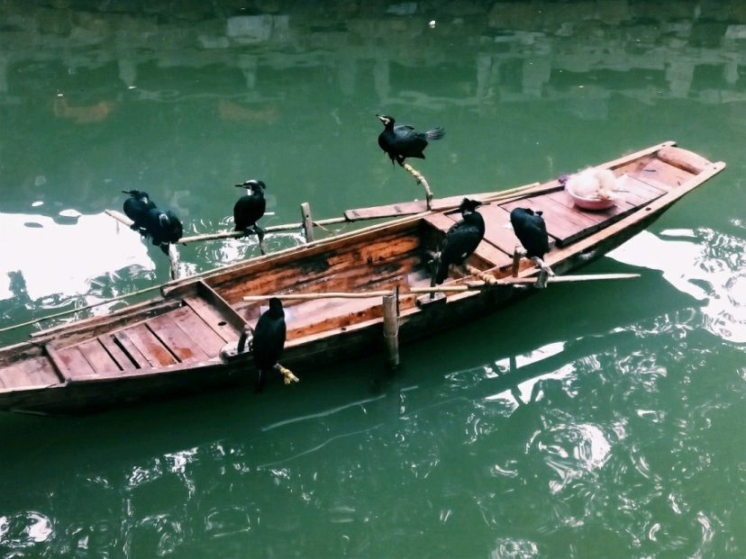 一个人穷游中国苏州同里古镇,同里古镇到苏州站怎么坐车