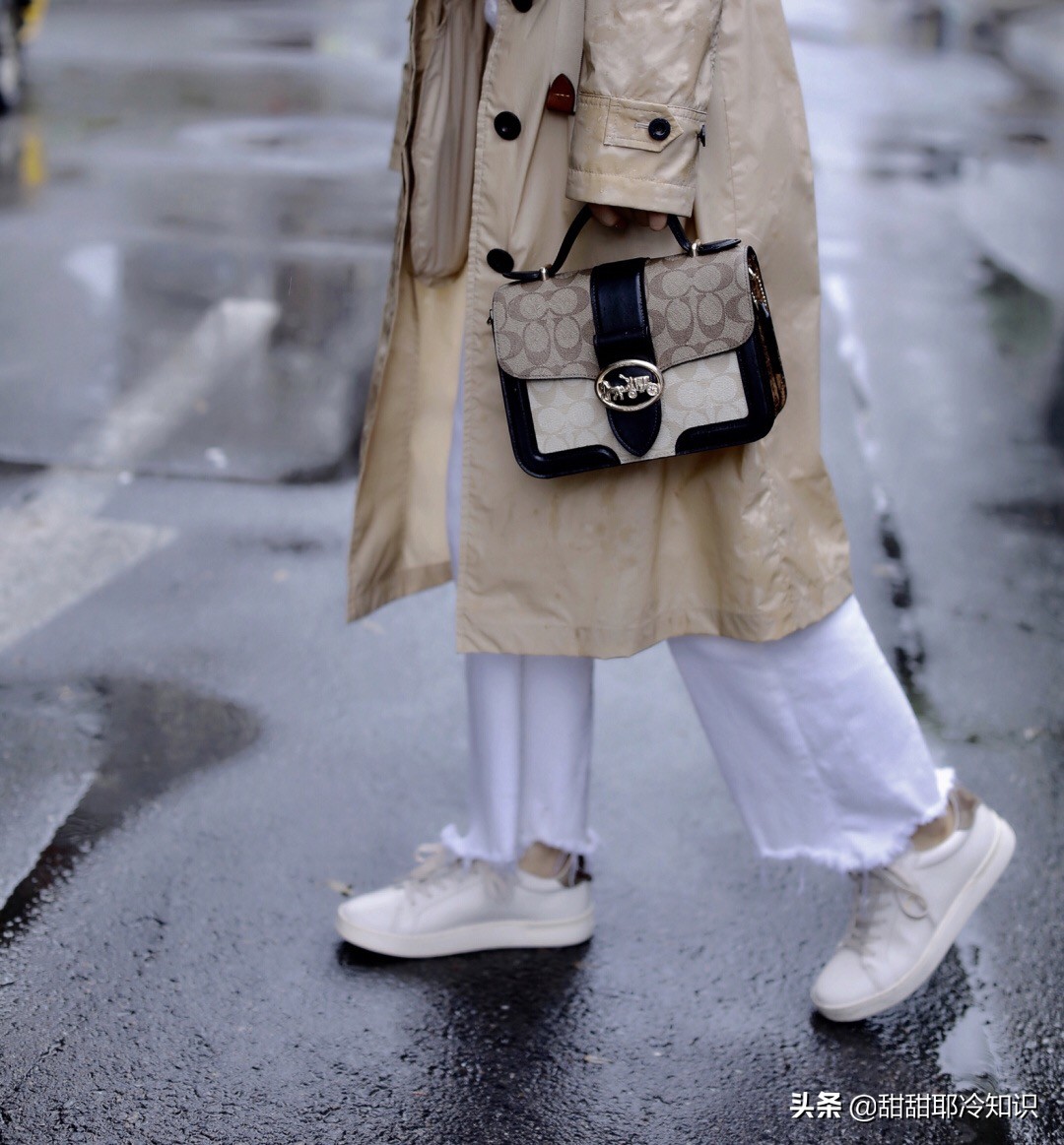 coach蔻驰风琴包黑色立体草莓,coach蔻驰新款马车图案包斜包