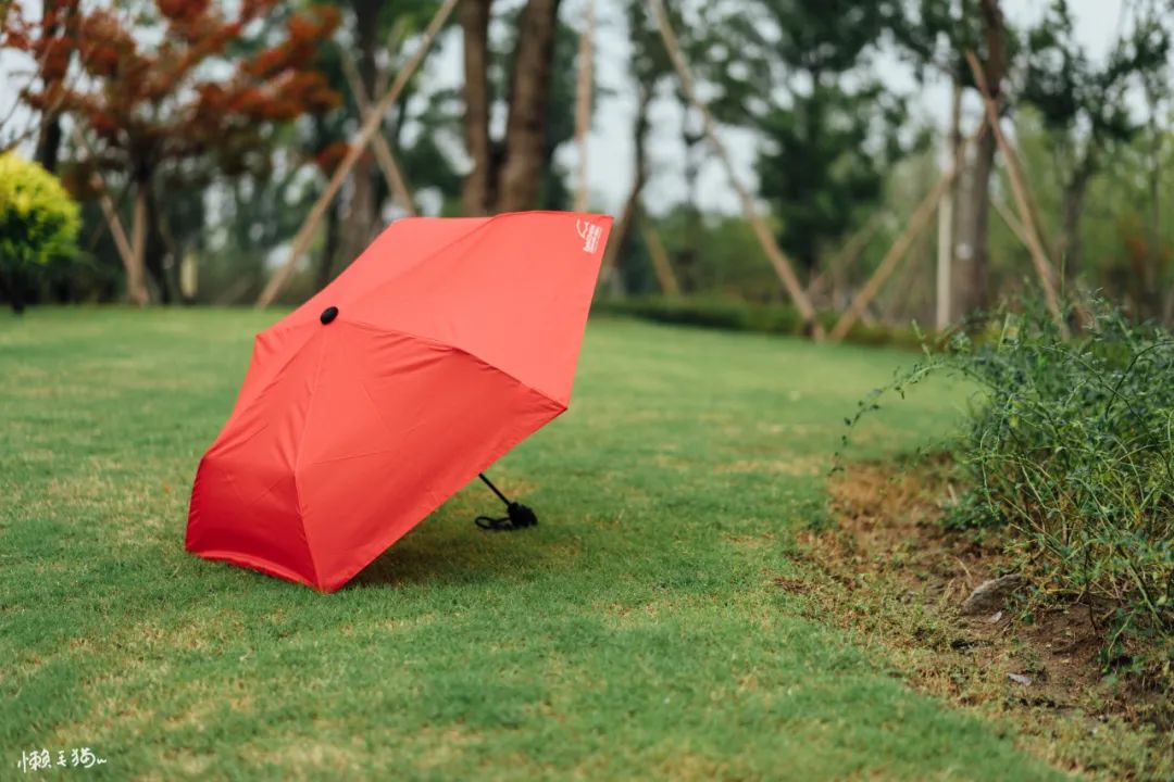 6骨双层长柄雨伞,六骨拱形雨伞
