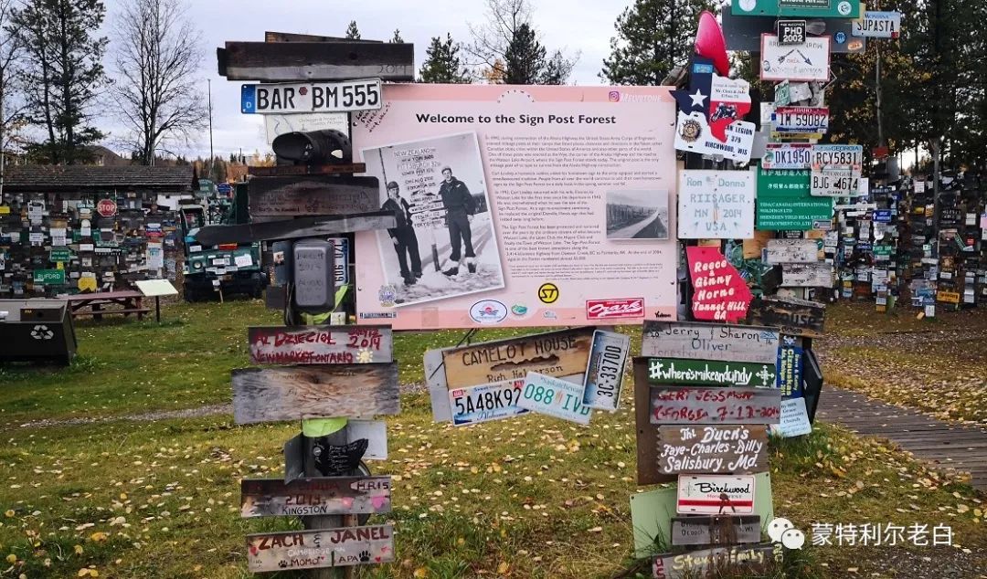 跟着老白行走加拿大，育空Watson Lake、BC省Northern Rockies