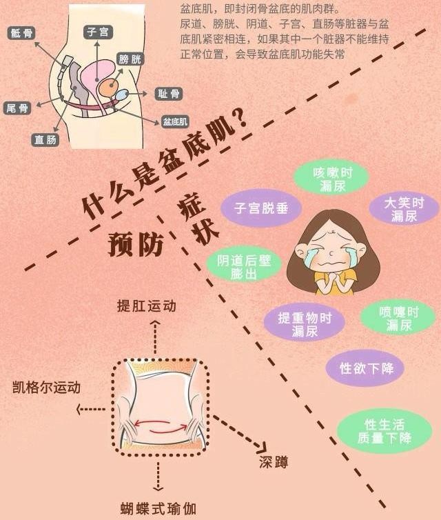 产后恢复包含哪些项目,产后恢复都包含哪些项目