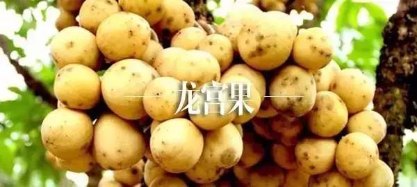 泰国芒果自助,泰国吃喝玩乐攻略榴莲自助餐