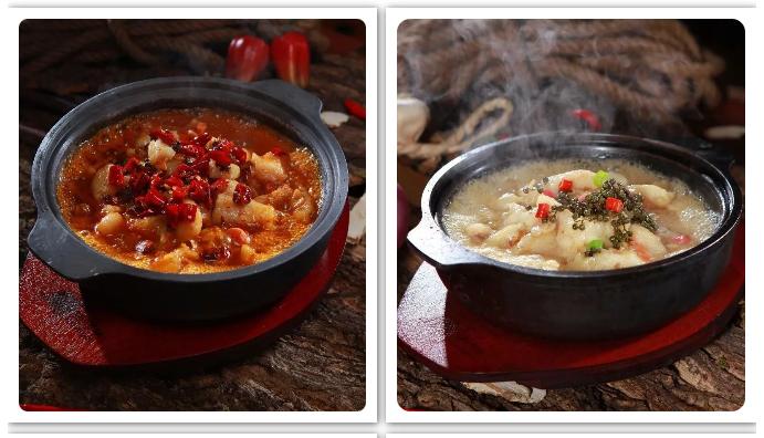 啵啵鱼图片是什么鱼,可以吃的啵啵鱼是什么鱼图片