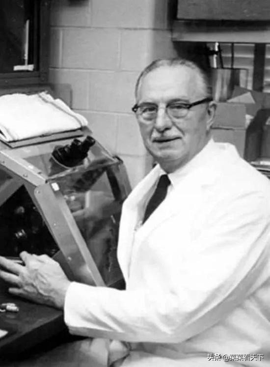 癌症细胞永生,死于癌症后细胞永生