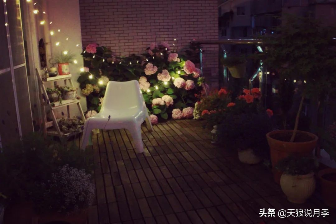 如何打造四季开花的花园,如何打造四季都有花的花园