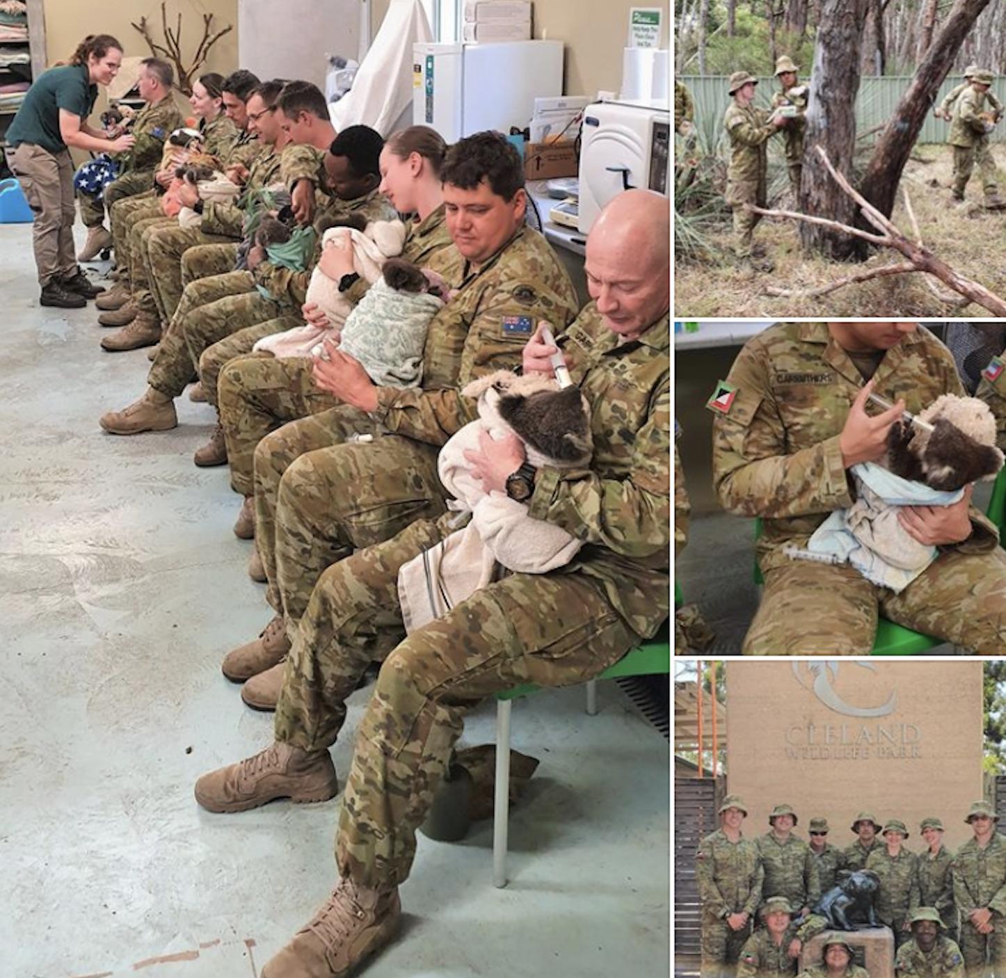 澳大利亚大火导致10亿动物葬身火海，空气污染严重口罩紧俏，大火释放的二氧化碳需一个世纪才能吸收