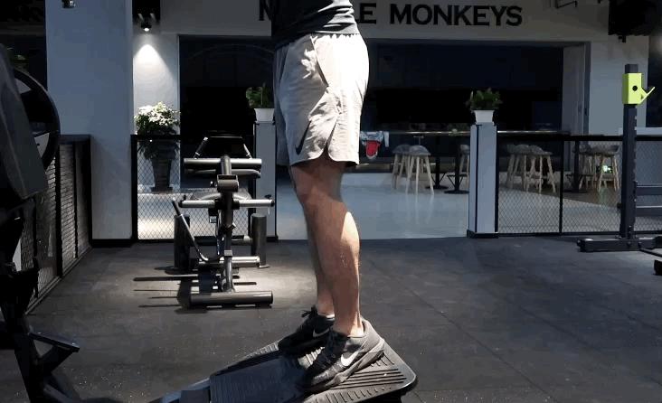 正向哈克深蹲怎么用,哈克深蹲练股四头肌动作要领