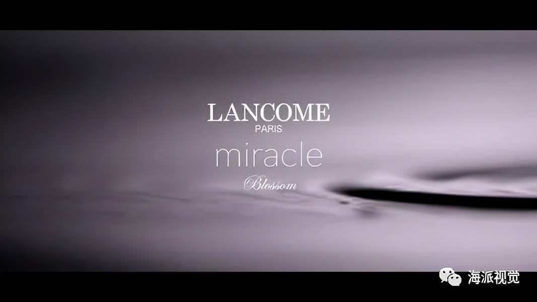 香奈儿经典logo包,香奈儿24大logo