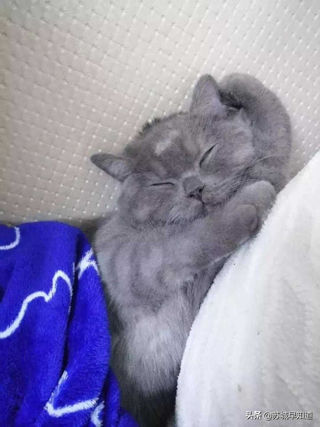 苏州平江路万达广场,苏州万达广场平江店