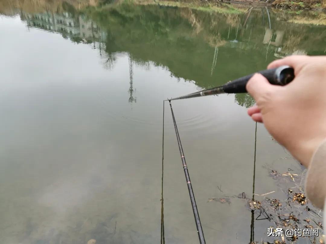 鱼不吃东西怎么办啊,夏季窝料打多了鱼不吃饵怎么办