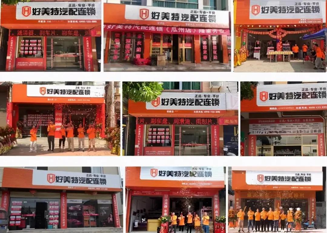 黑天鹅逆袭成长,黑天鹅春节盈利