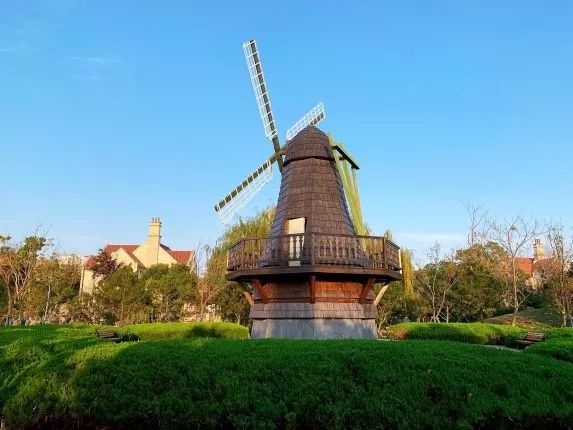 上海可以一路玩下来的地铁线,上海最新41条地铁