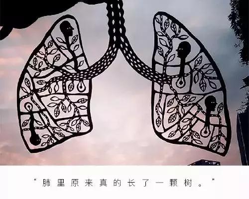 广州90后妹子用顶级纸艺解剖人体，看过的人惊艳到灵魂出窍