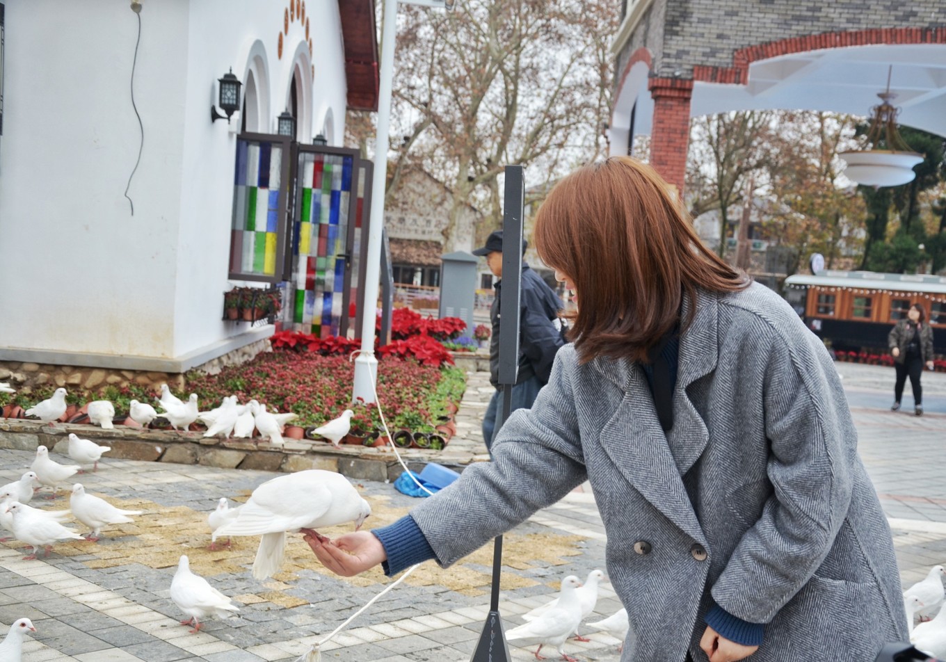 一座白楼，青山环绕，云卷雾舒～享受在莫干山野的娴静自由