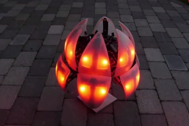 morph机器人,morphex球形机器人