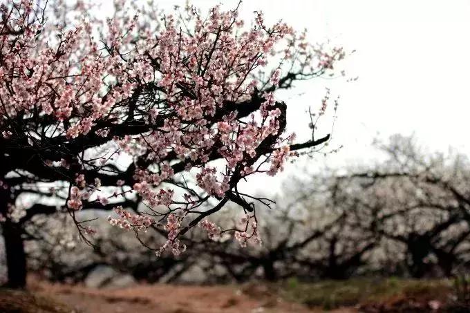 狂飙18级,狂飙18集公路飙车片段在哪