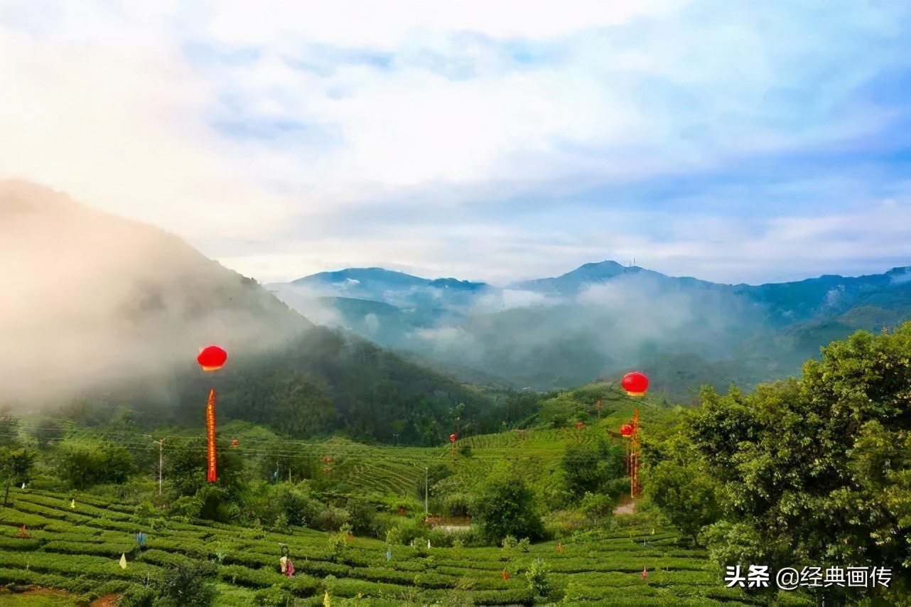 安溪高山铁观音独特之处,正宗安溪高山铁观音