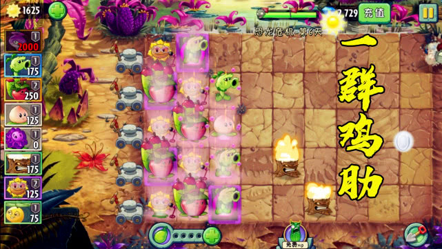 盘点植物大战僵尸2冷门植物,植物大战僵尸2植物测评搞笑