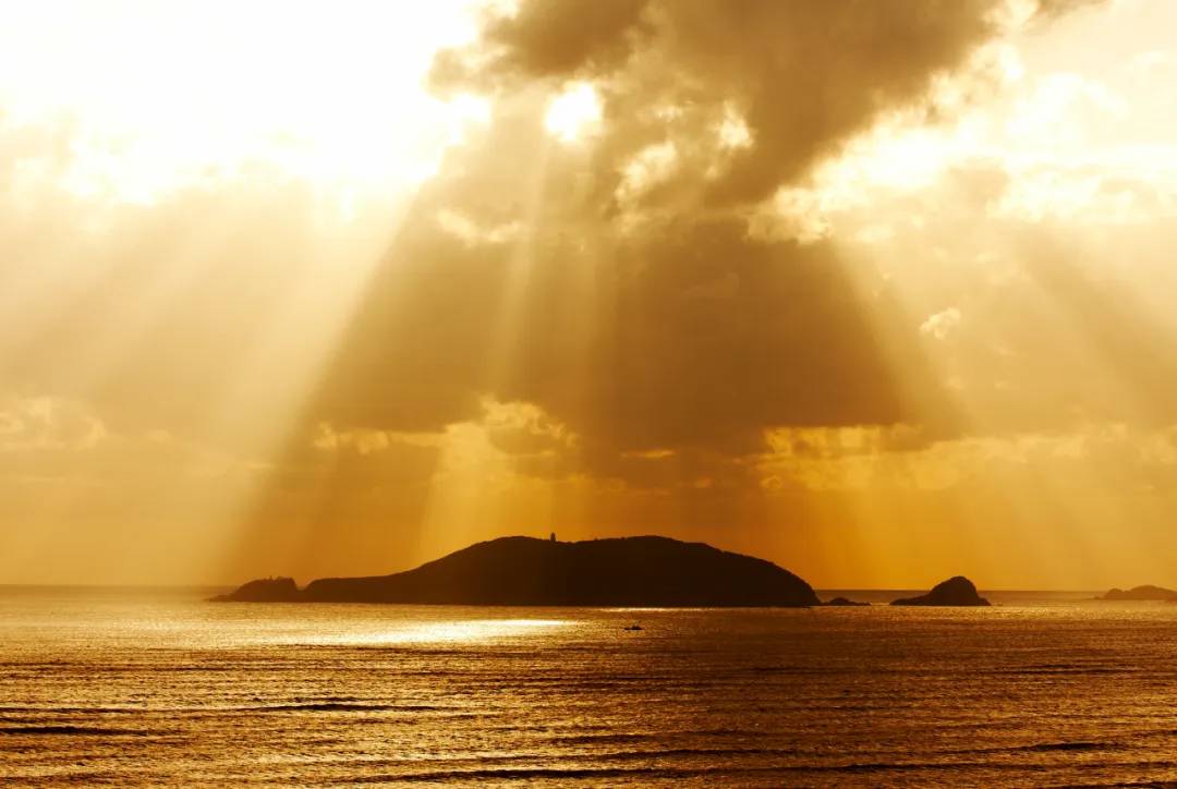 舟山副市长方维，5月23日在驴妈妈直播间带你“舟游列岛gou”！