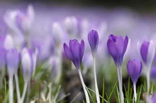 宜昌人被骗20万,上海小区居民被骗48万