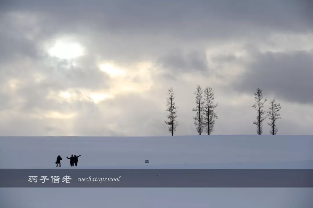 日本10天自由行费用北海道,东京北海道5日自由行攻略