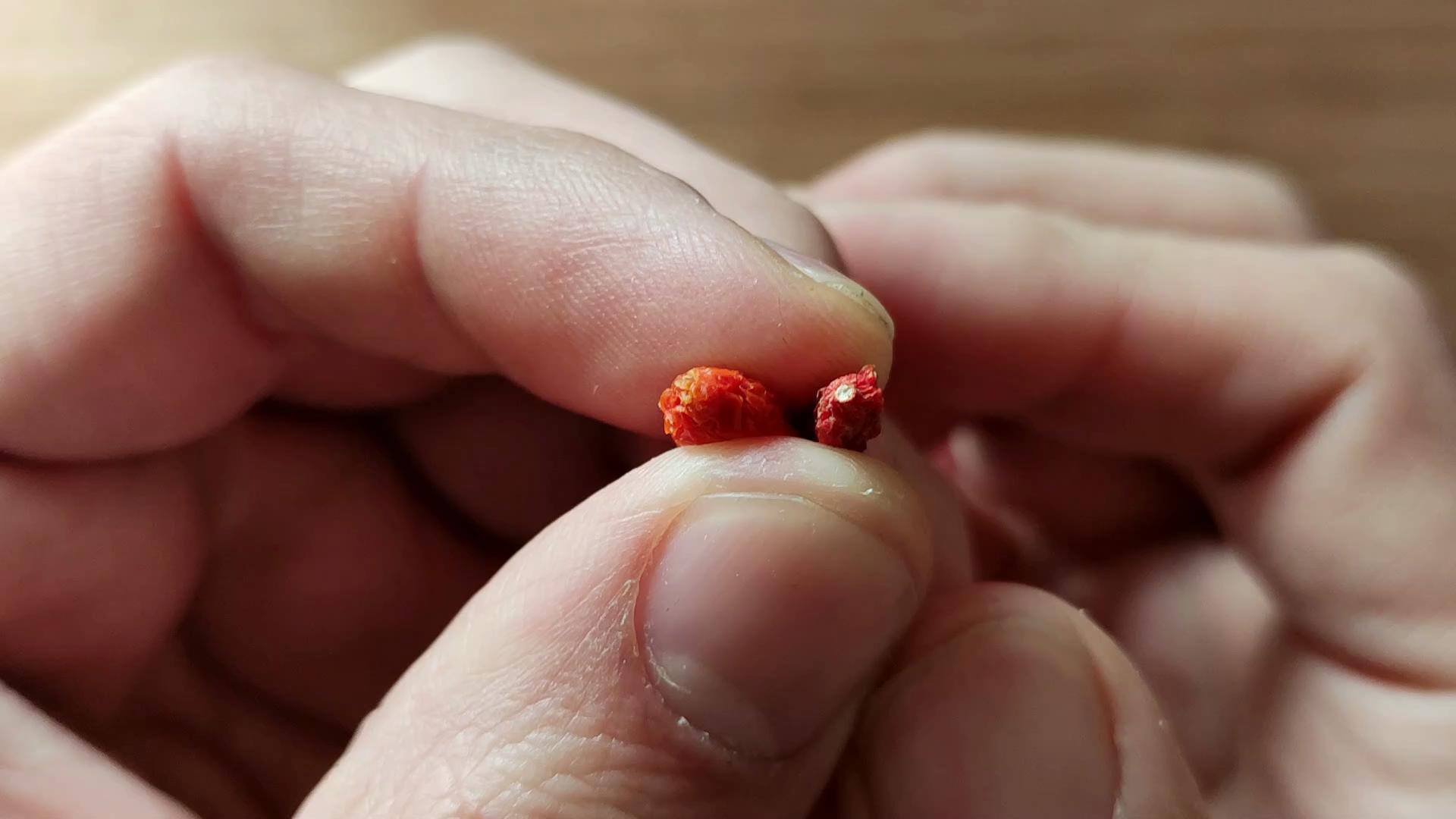 有毒的硫磺枸杞不能要，5招辨别妙招要牢记，请分享给家人和朋友